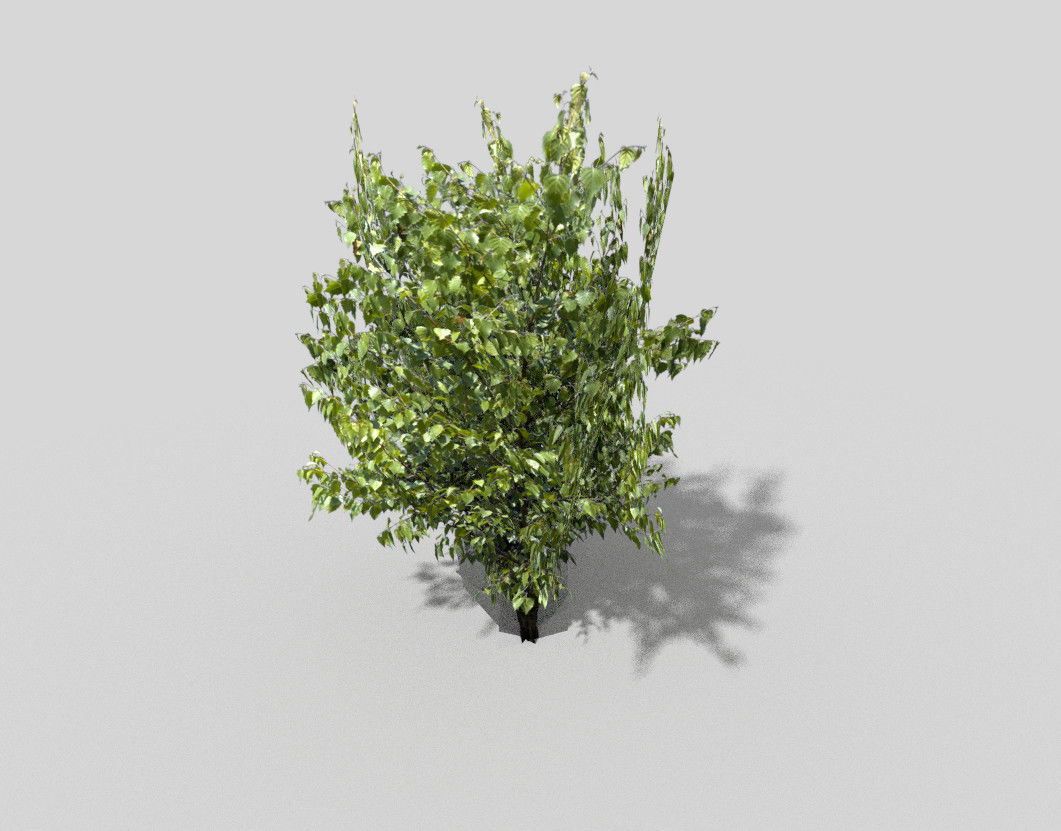 Tree Low-poly 3D model_2