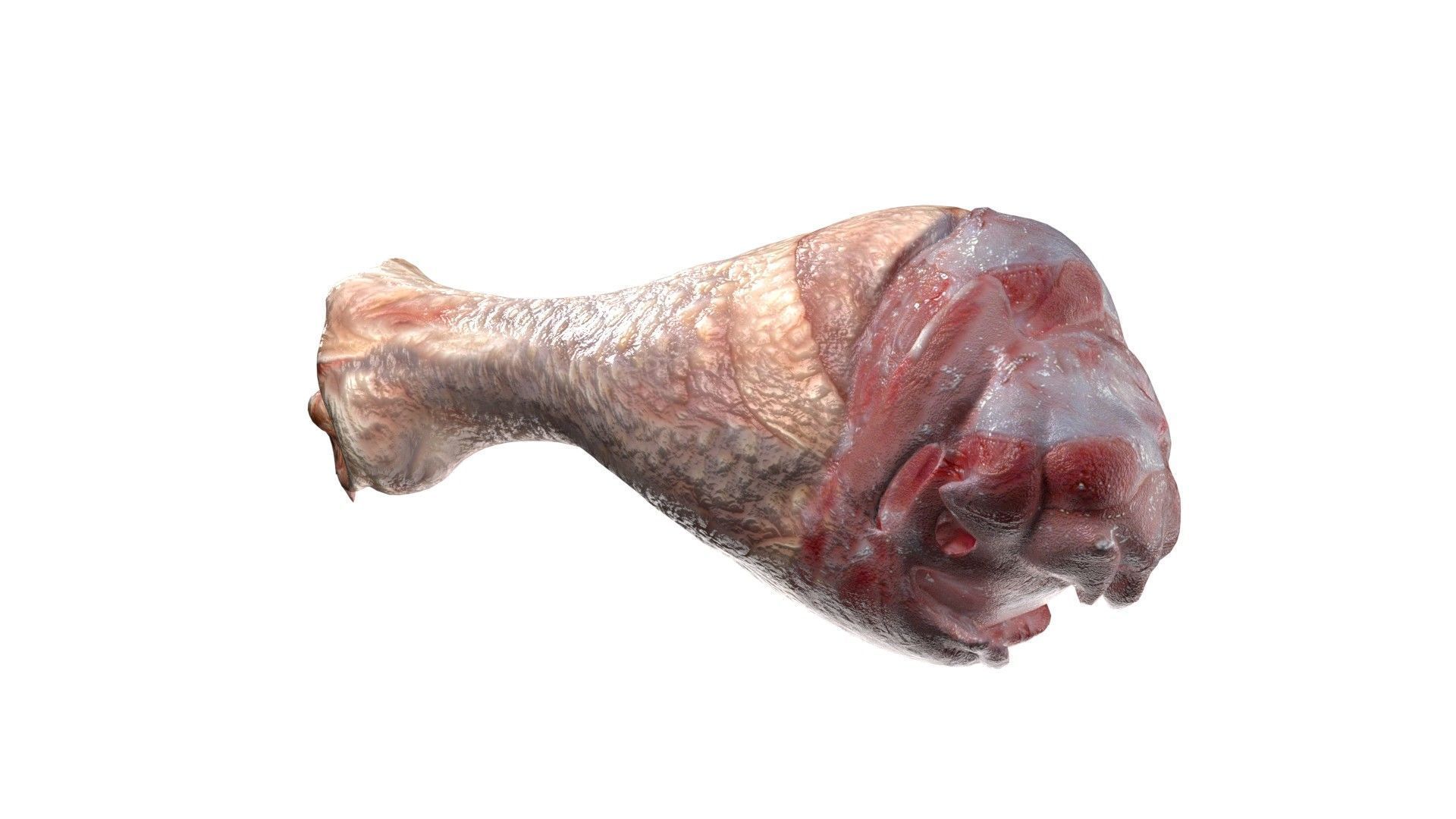 Chicken drumstick raw v2 Low-poly 3D model_4