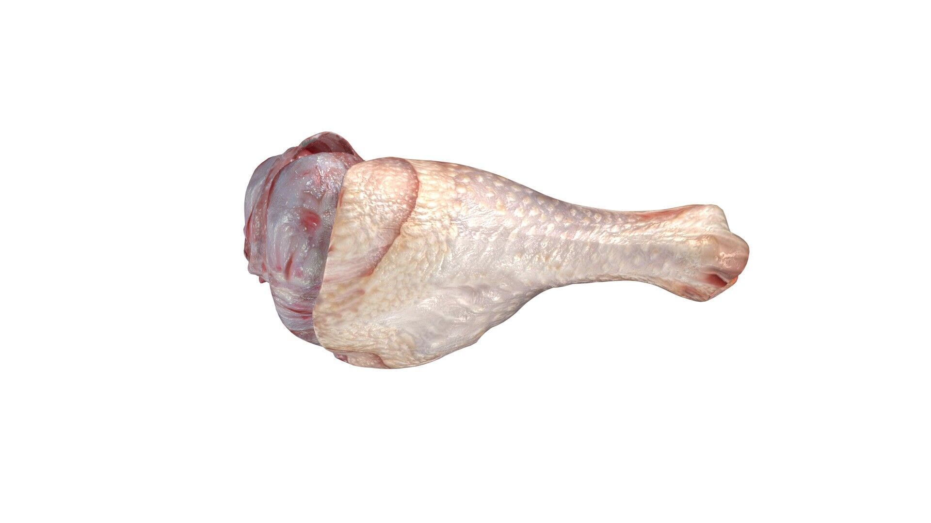Chicken drumstick raw v2 Low-poly 3D model_2