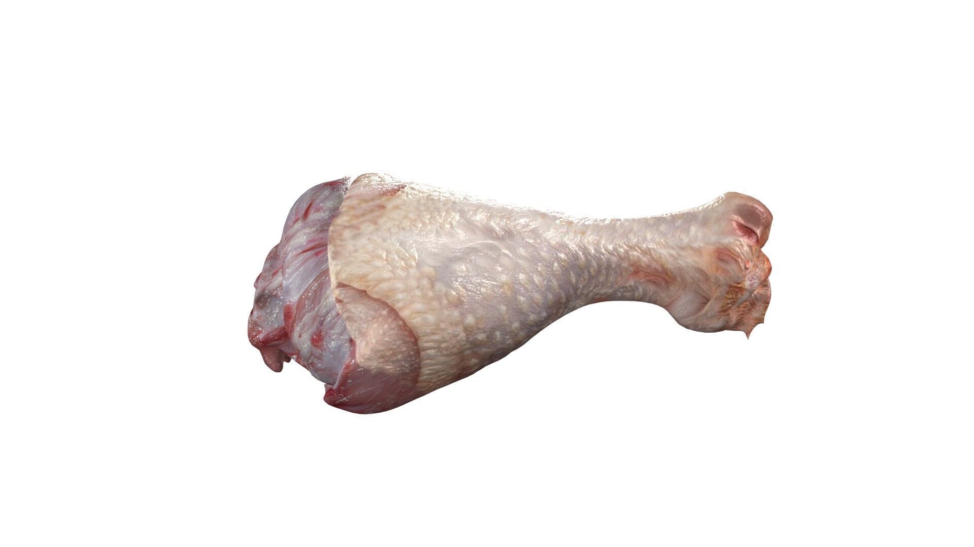 Chicken drumstick raw v2 Low-poly 3D model_1