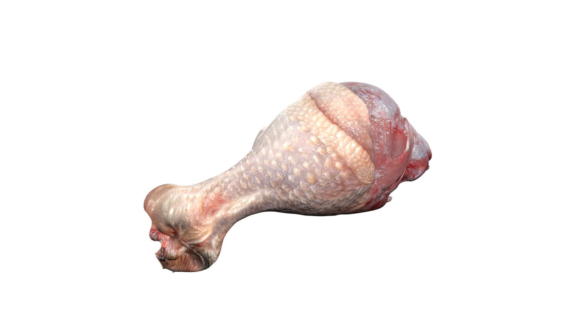 Chicken drumstick raw v2 Low-poly 3D model_3
