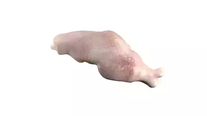 Chicken drumstick raw v3 