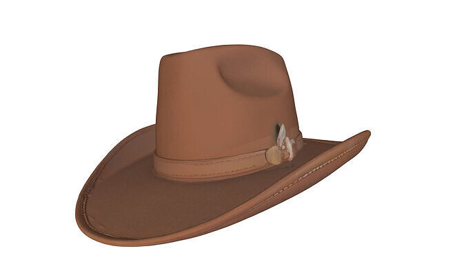 Cowboy Hat Texture