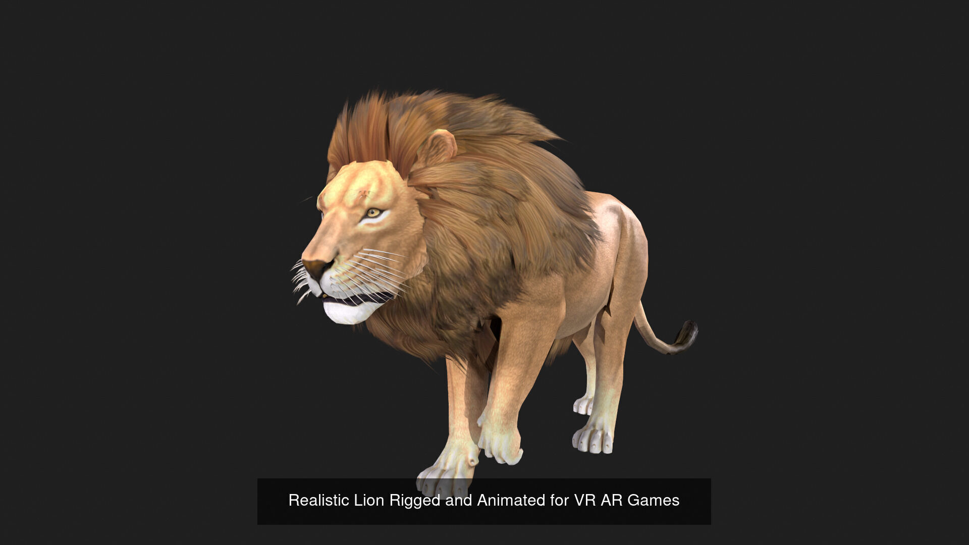 Realistic Wild Animal Pack  - Rigged  Animated 3D Model Collection_9