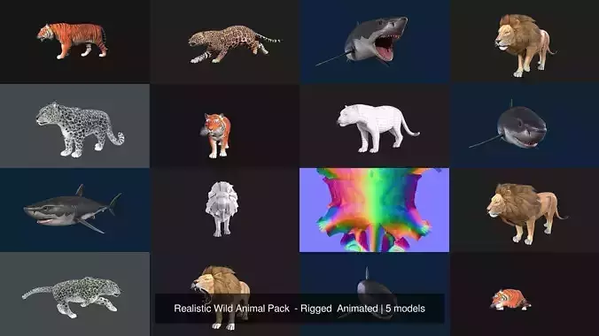 Realistic Wild Animal Pack  - Rigged  Animated 3D Model Collection