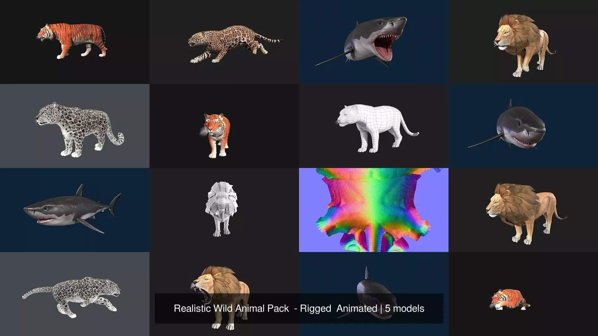 Realistic Wild Animal Pack  - Rigged  Animated 3D Model Collection_0