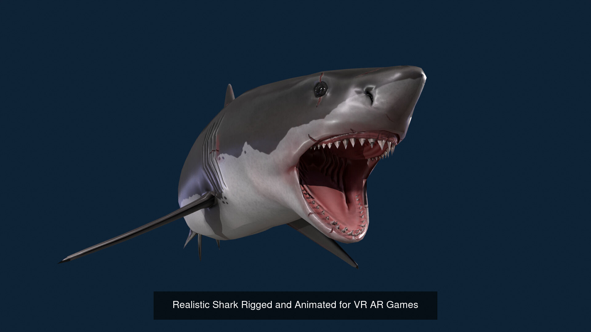 Realistic Wild Animal Pack  - Rigged  Animated 3D Model Collection_8