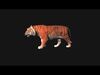 Realistic Wild Animal Pack  - Rigged  Animated 3D Model Collection_1