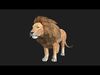 Realistic Wild Animal Pack  - Rigged  Animated 3D Model Collection_4