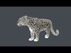 Realistic Wild Animal Pack  - Rigged  Animated 3D Model Collection_5