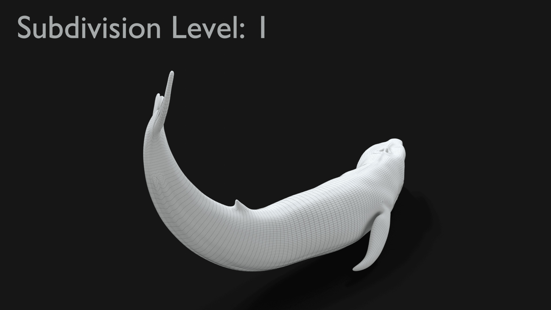 Realistic Blue Whale 3D Model Rigged 3D model_33