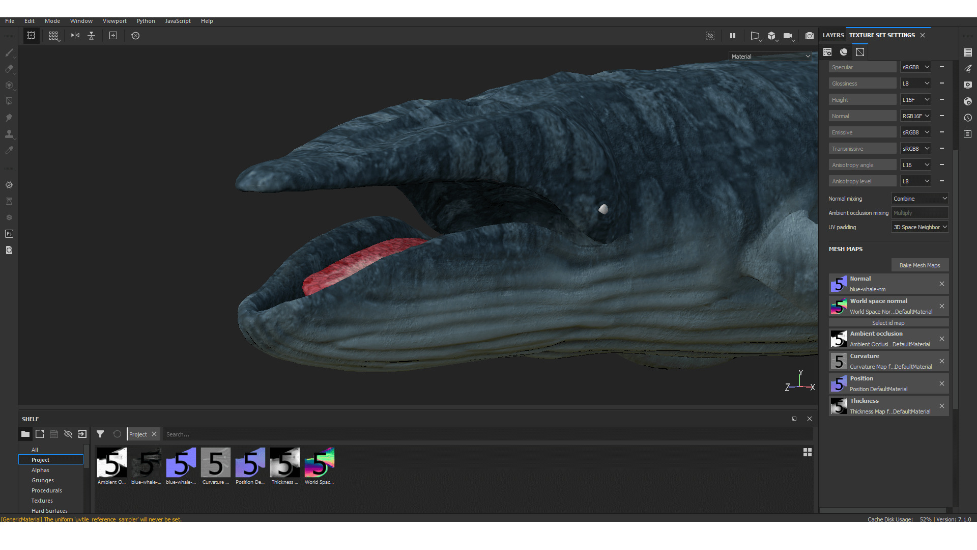 Realistic Blue Whale 3D Model Rigged 3D model_17