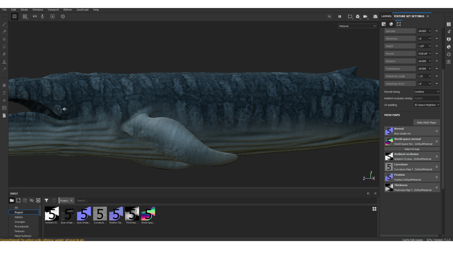 Realistic Blue Whale 3D Model Rigged 3D model_18
