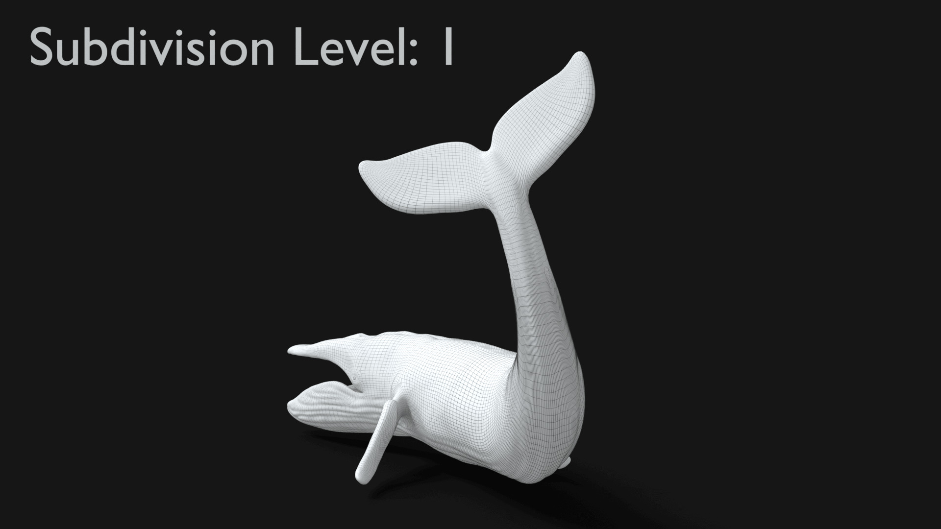 Realistic Blue Whale 3D Model Rigged 3D model_32