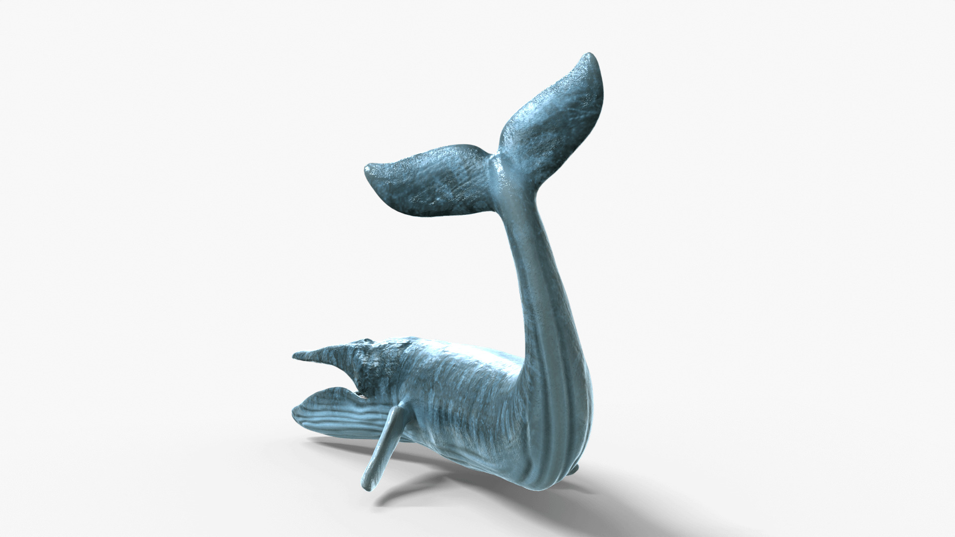 Realistic Blue Whale 3D Model Rigged 3D model_2