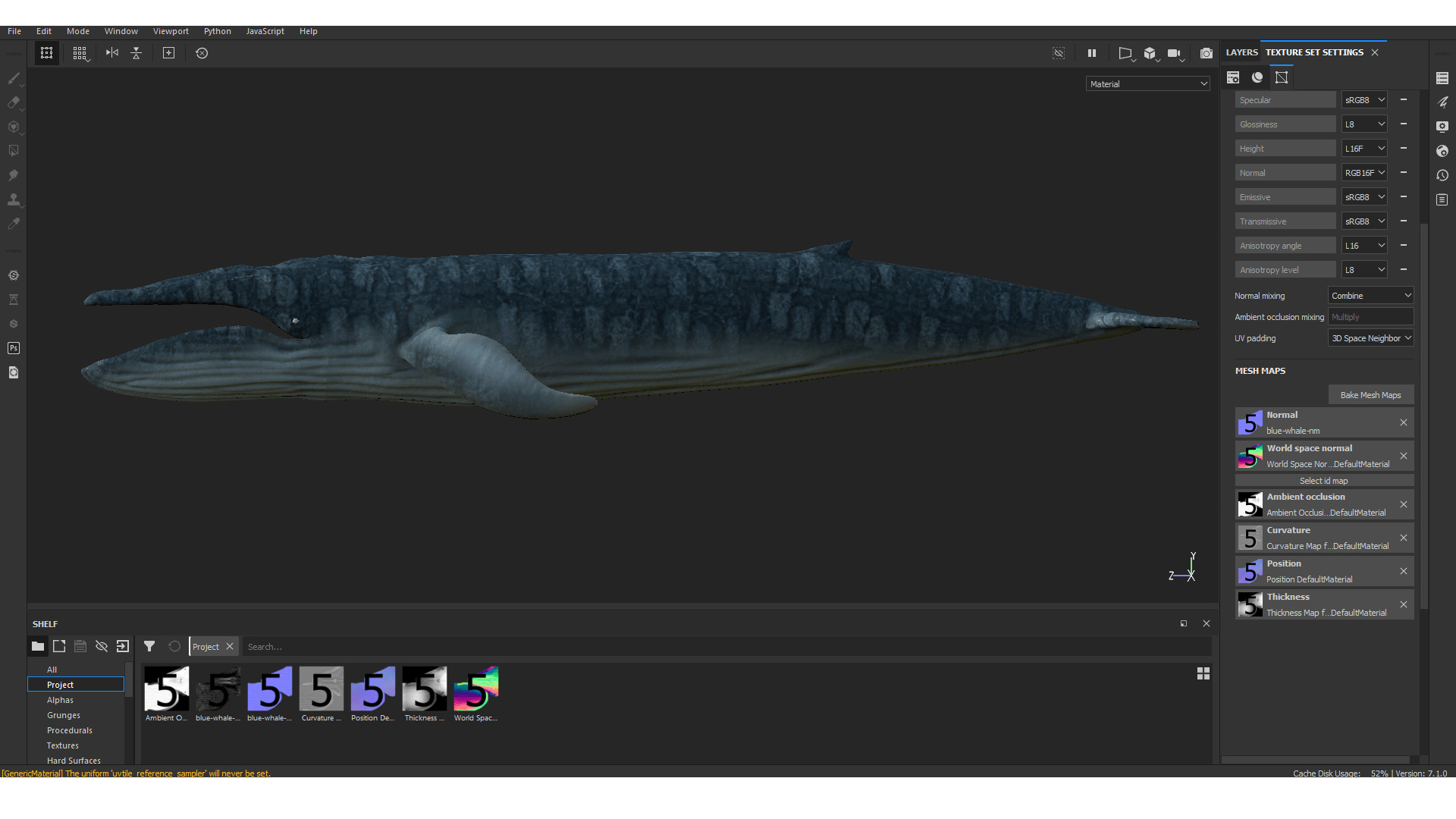 Realistic Blue Whale 3D Model Rigged 3D model_16