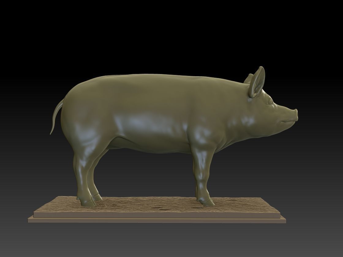PIG 3D MODEL 3D print model_2