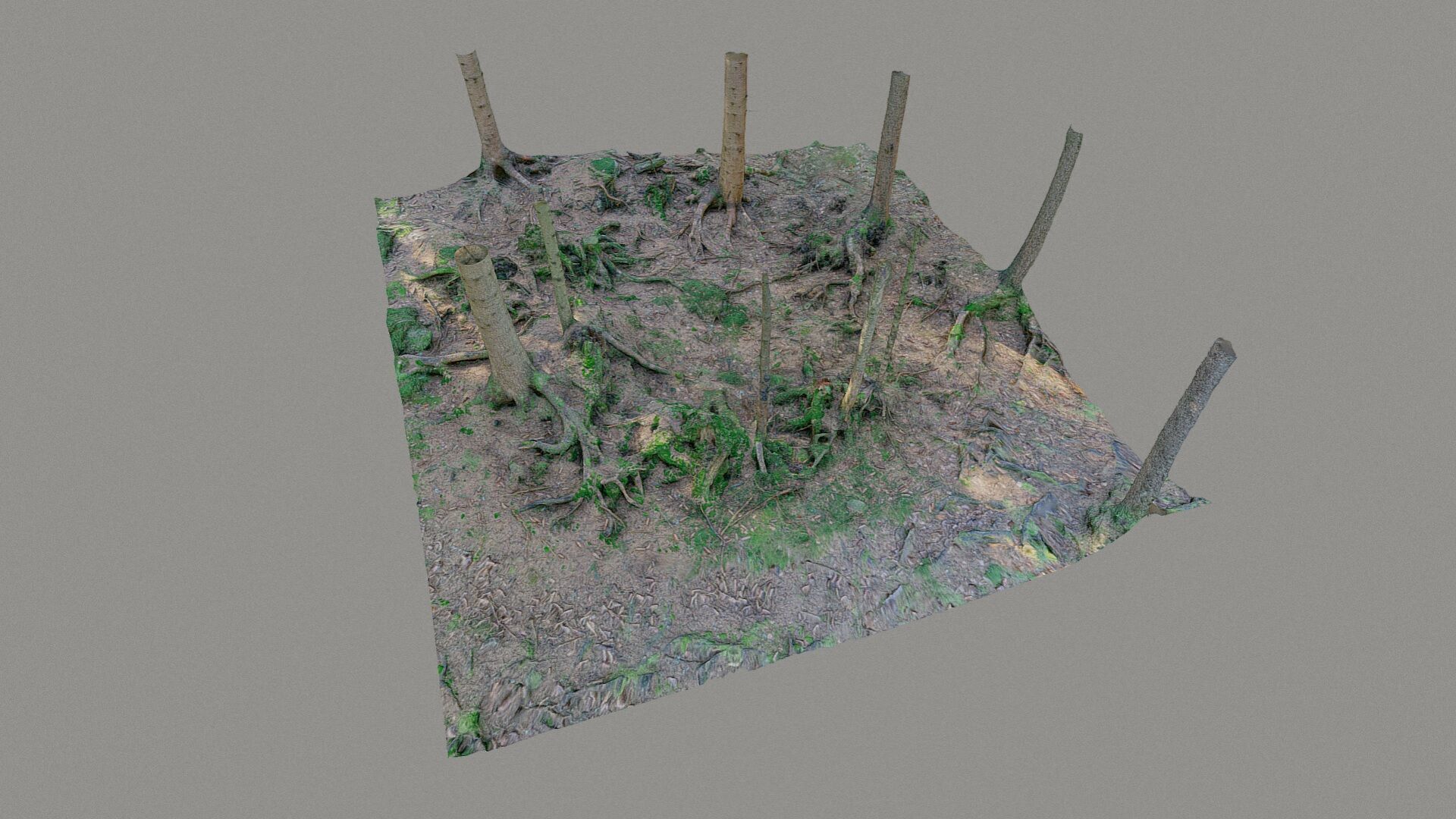 Glade of dead trees with roots 3D model_5