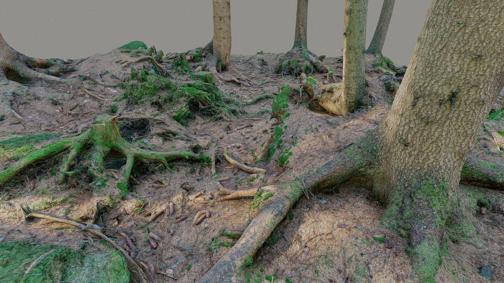 Glade of dead trees with roots 3D model_3