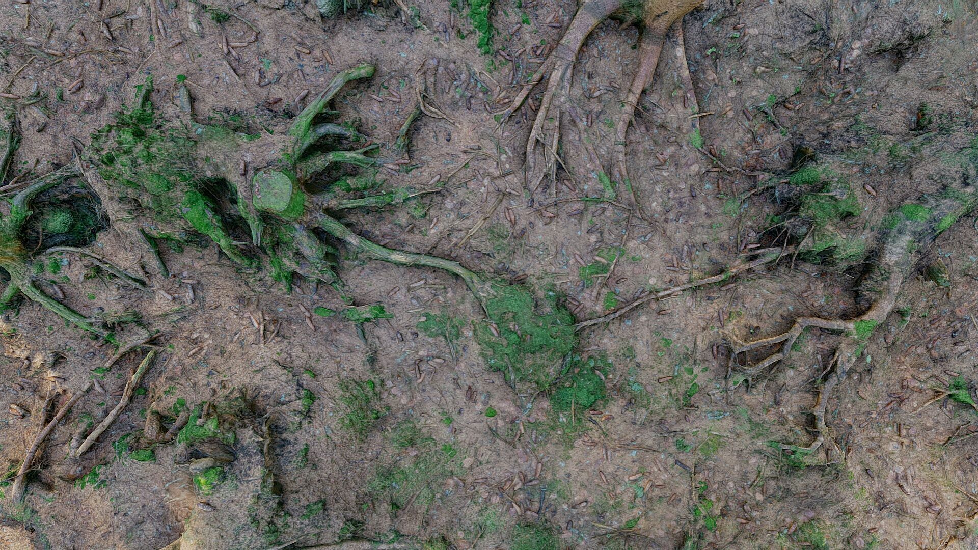 Glade of dead trees with roots 3D model_4