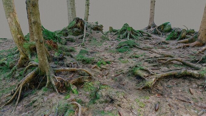 Glade of dead trees with roots 3D model