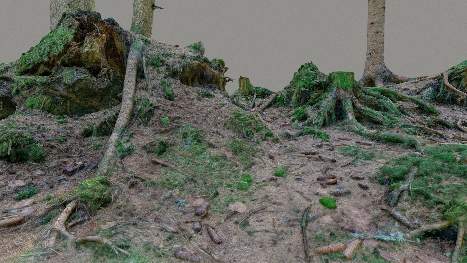 Glade of dead trees with roots 3D model_7