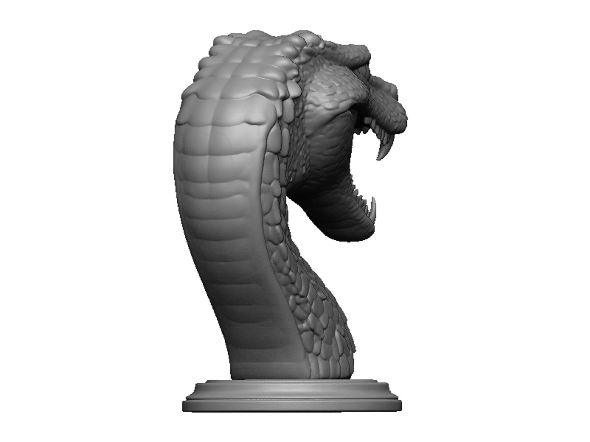 snake head bust 3D print model_3