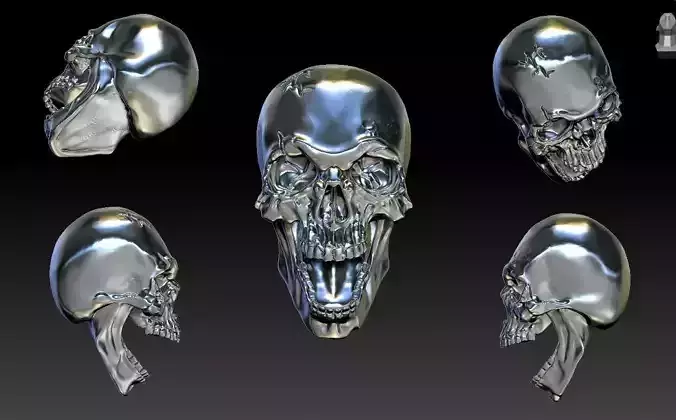 Human Skull 3D Model - High Detail Printable