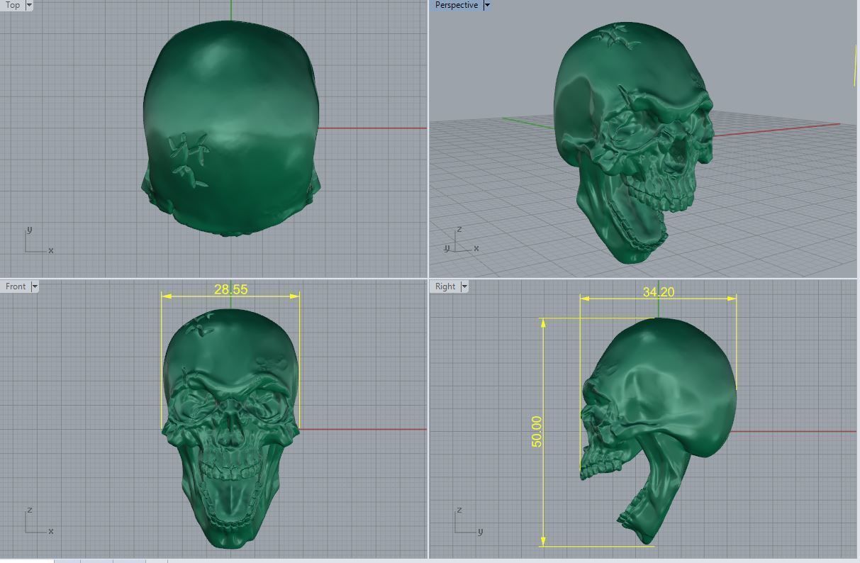 Human Skull 3D Model - High Detail Printable 3D print model_9