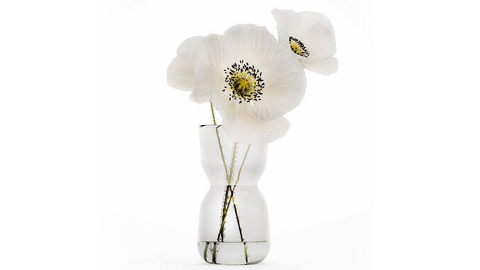Beautiful Minimalist Bouquet Vase Icelandic Poppy 594 3D model