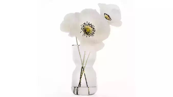 Beautiful Minimalist Bouquet Vase Icelandic Poppy 594