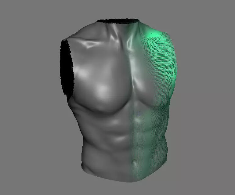 Highpoly Male Bust Free 3D model_0