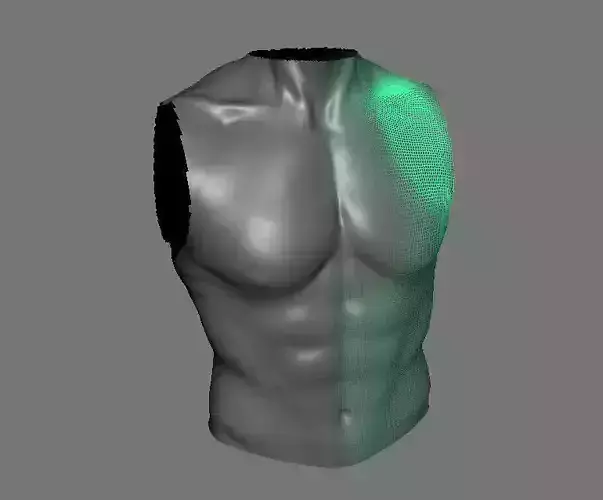 Highpoly Male Bust Free 3D model