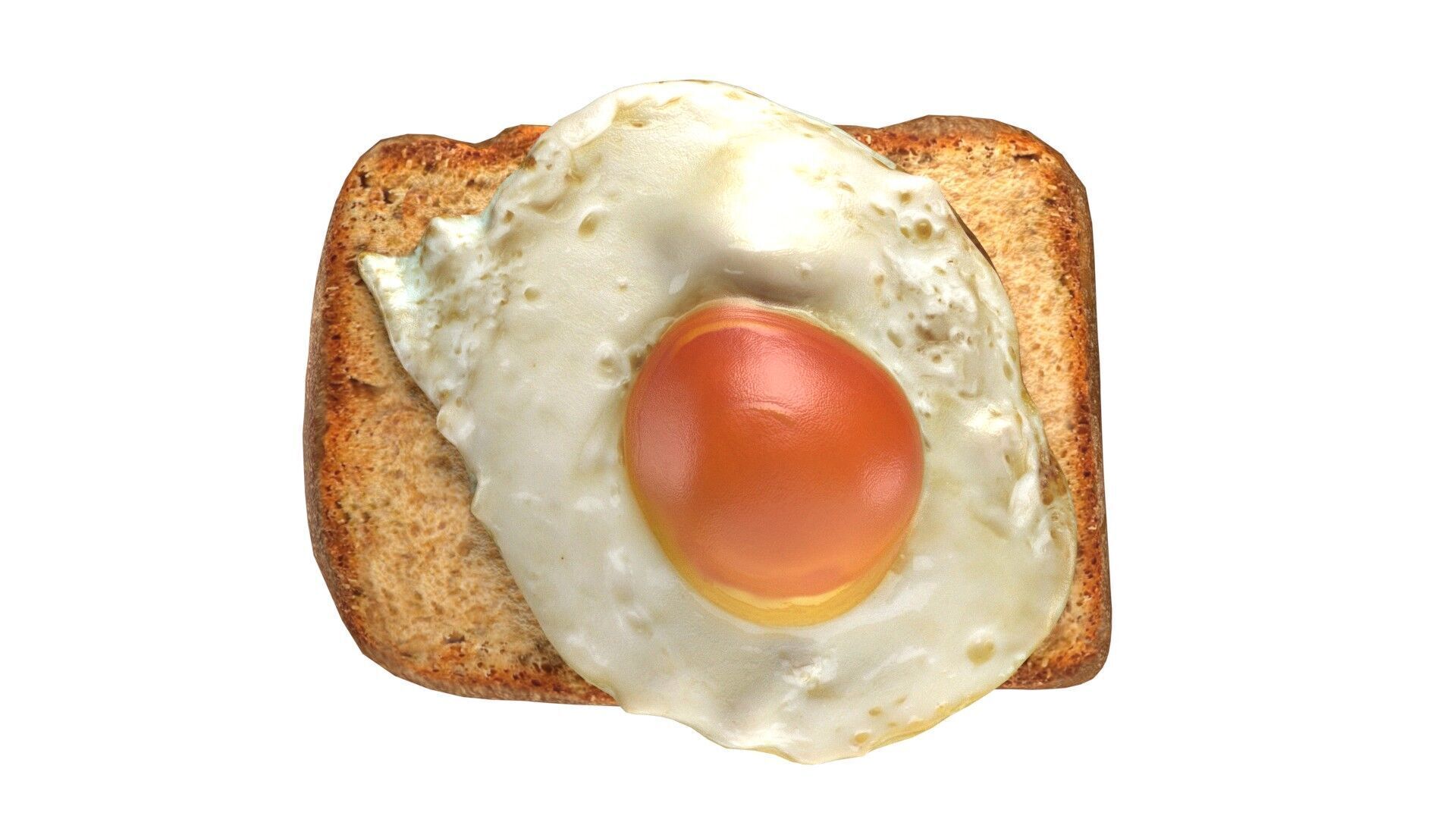 fried egg with bread  Low-poly 3D model_4
