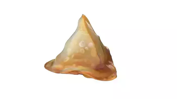 Samosa 