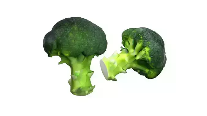 Broccoli scan Free low-poly 3D model