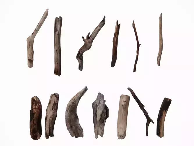 Timber firewood pile logs tree stumps branches