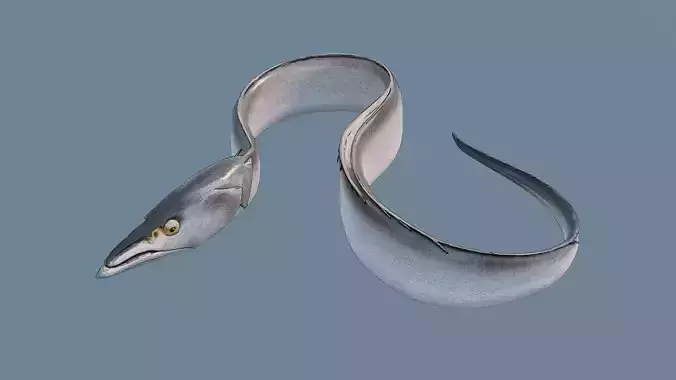 Ribbonfish Low-poly 3D model