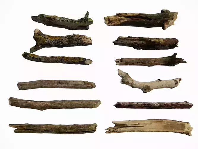 Natural Dried Branches Material Collection