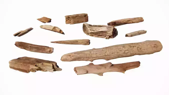 Modern tree stumps