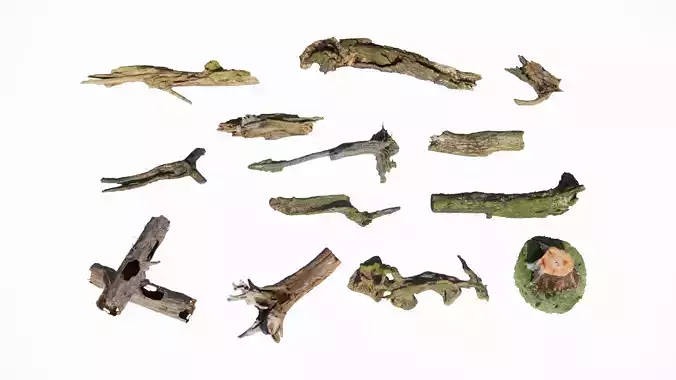 Natural Weathered Dried Branches Material Collection