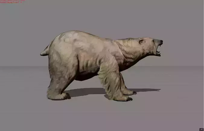 Polar Bear Animal Low-poly 3D model