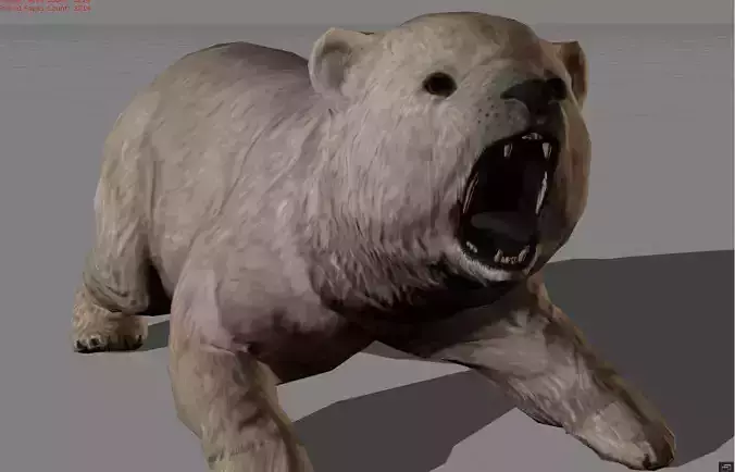 Baby Polar Bear Animal