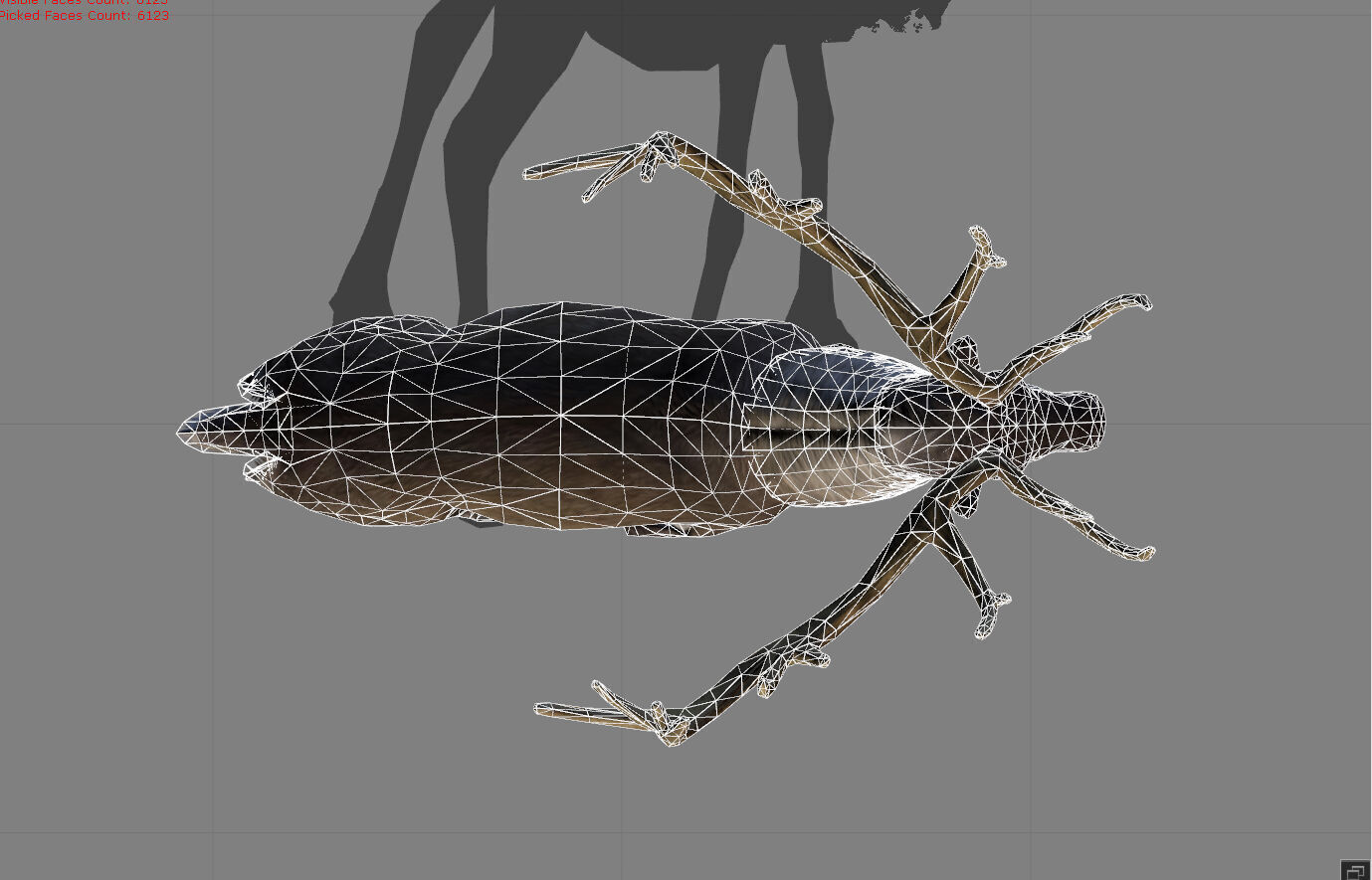 Rain Deers Animal Low-poly 3D model_9