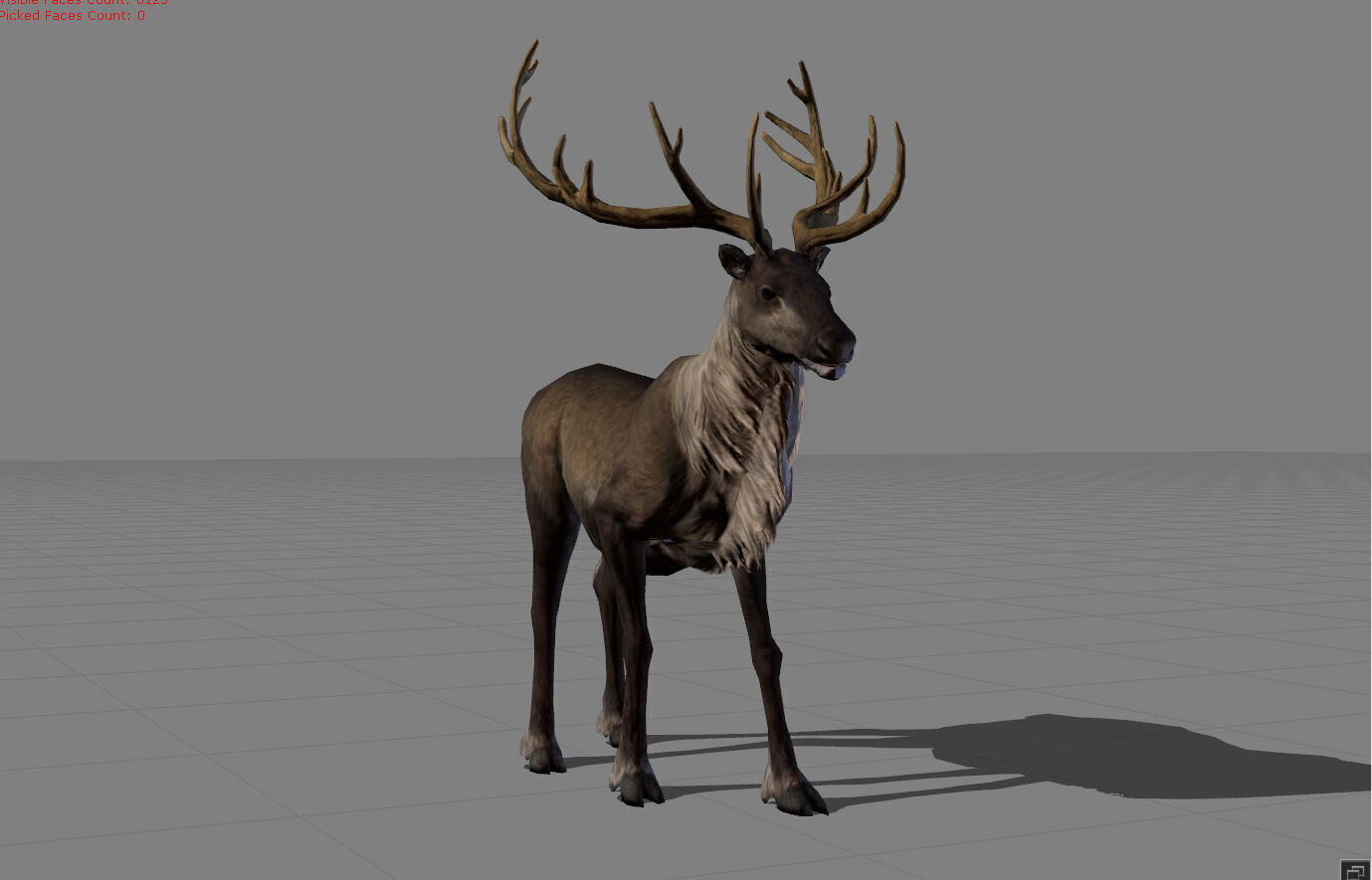 Rain Deers Animal Low-poly 3D model_2