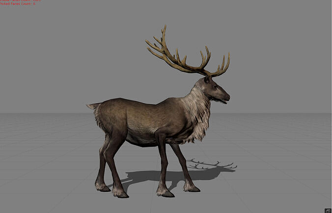 Rain Deers Animal Low-poly 3D model