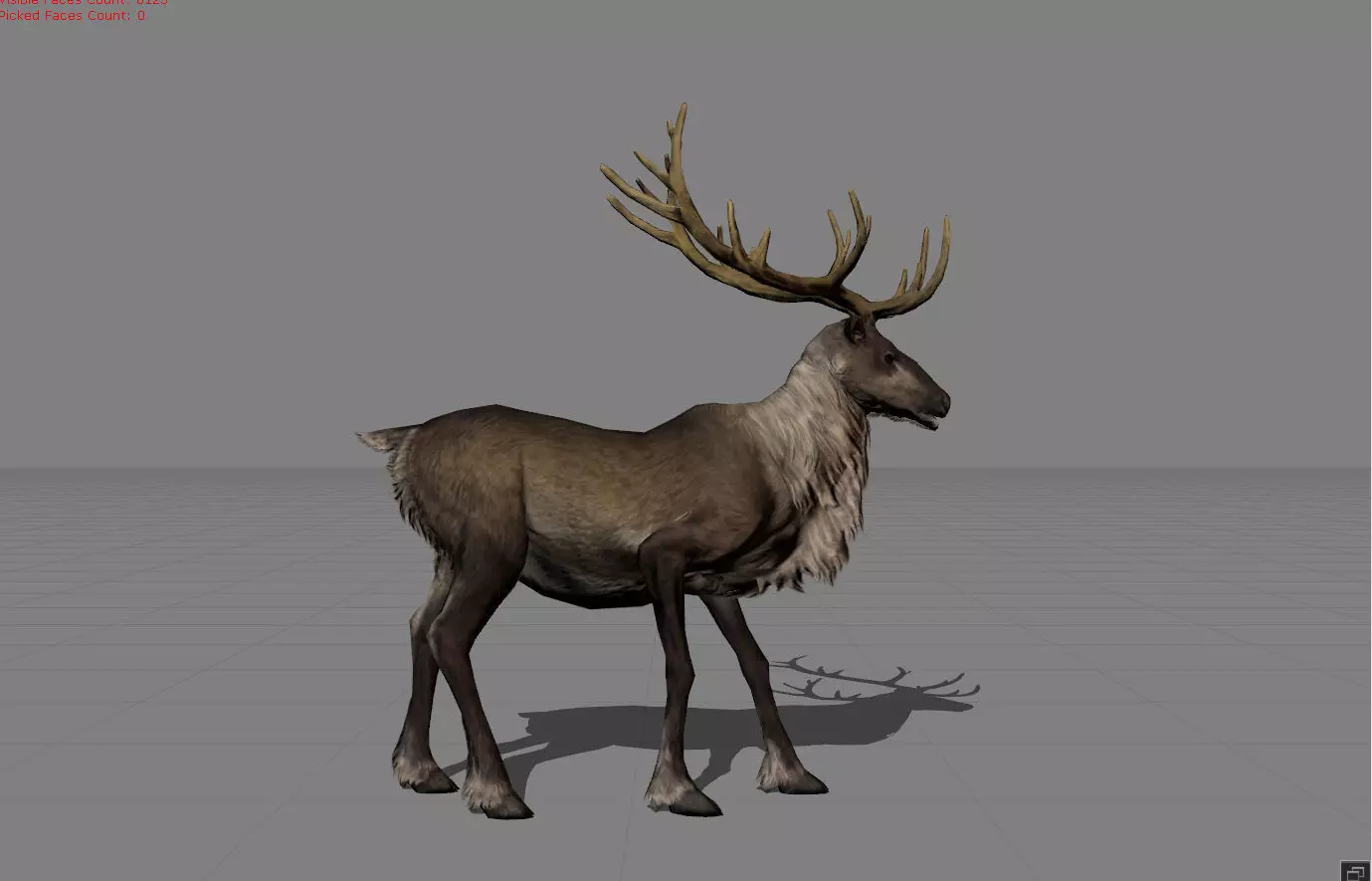 Rain Deers Animal Low-poly 3D model_0