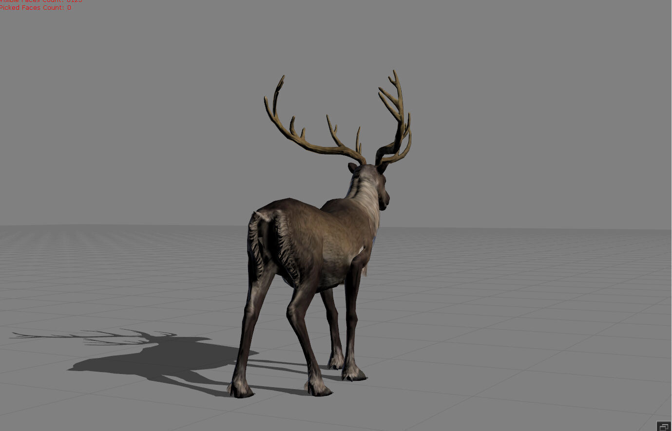 Rain Deers Animal Low-poly 3D model_1