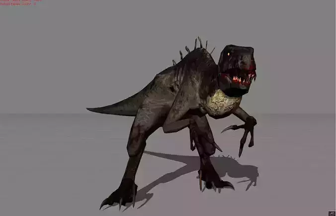 Black Raptor Animal 