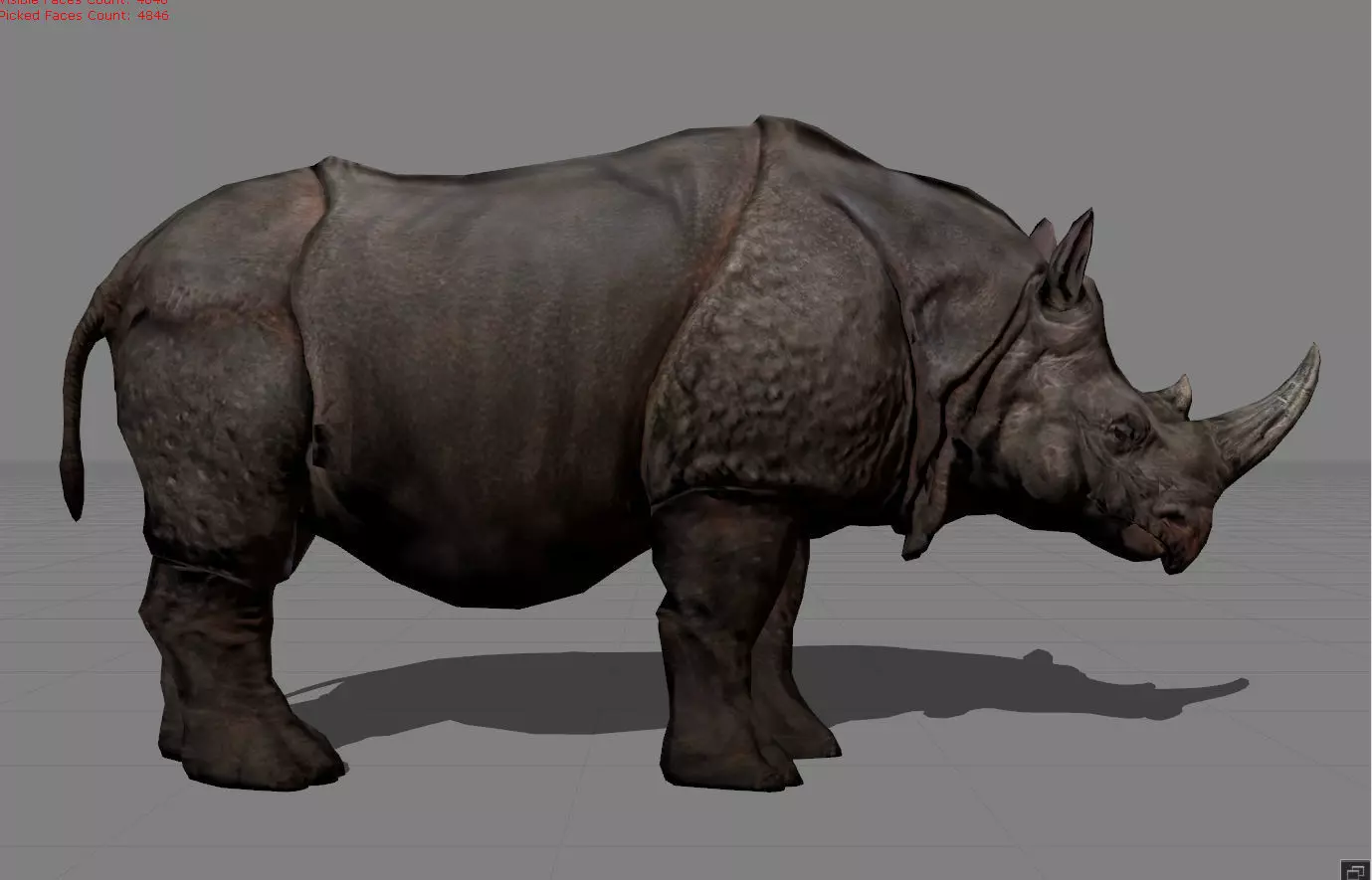 Rhino Animal Low-poly 3D model